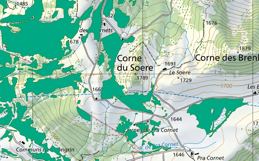 Carta nazionale swisstopo con il perimetro protetto di Corne du Soere (Torbiera bassa)