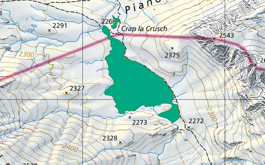 Landeskarte swisstopo mit dem Schutzperimeter von Crap la Crusch (Flachmoor)