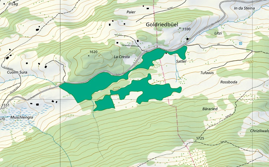 Landeskarte swisstopo mit dem Schutzperimeter von Cuolm Sura (Flachmoor)