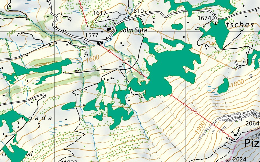 Landeskarte swisstopo mit dem Schutzperimeter von Cuolm Sura (Flachmoor)