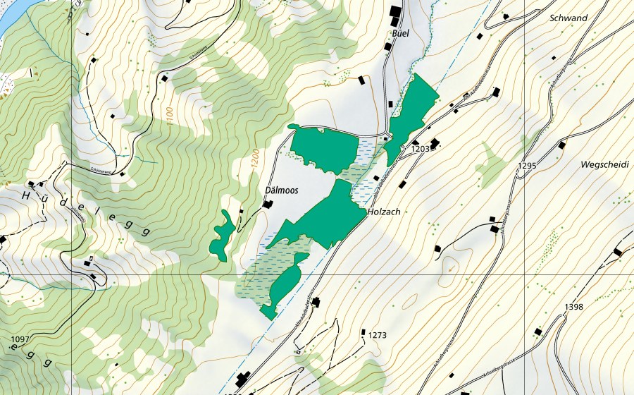 Landeskarte swisstopo mit dem Schutzperimeter von Dälmoos Achseten (Flachmoor)