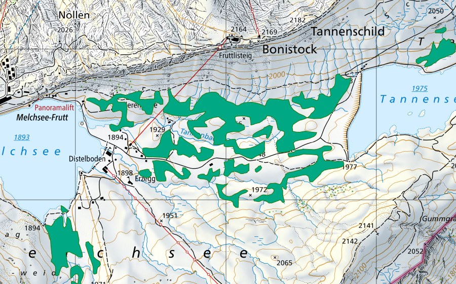 Carte nationale swisstopo avec le périmètre protégé de Distelboden (Bas-marais)