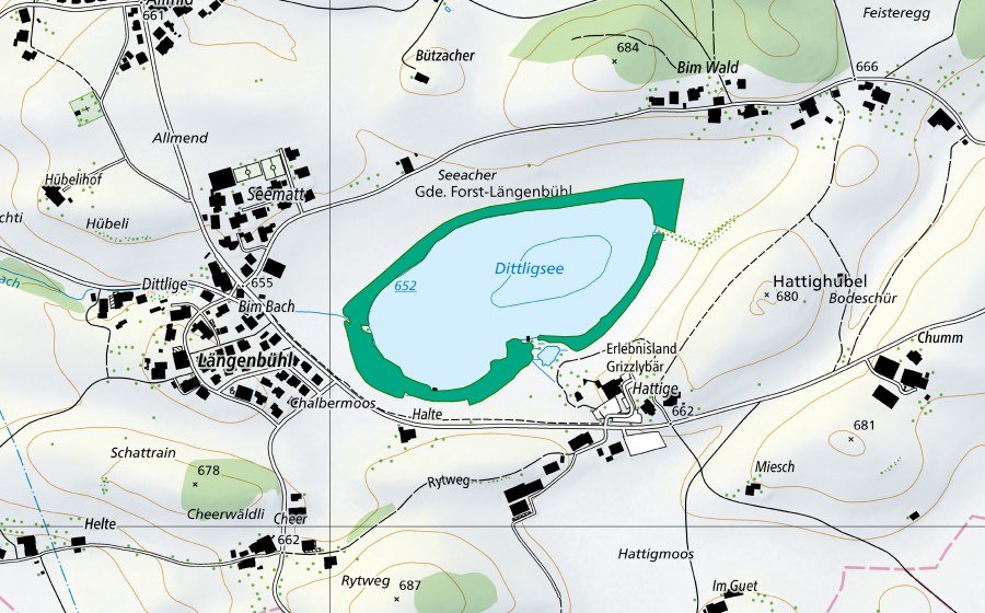 Landeskarte swisstopo mit dem Schutzperimeter von Dittligsee (Flachmoor)