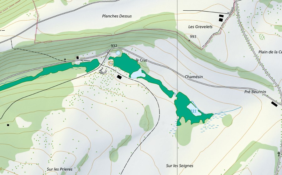 Landeskarte swisstopo mit dem Schutzperimeter von Dos le Cras (Flachmoor)
