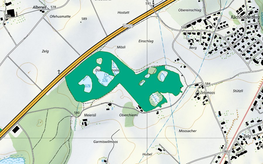 Carte nationale swisstopo avec le périmètre protégé de Düdingermoos (Bas-marais)