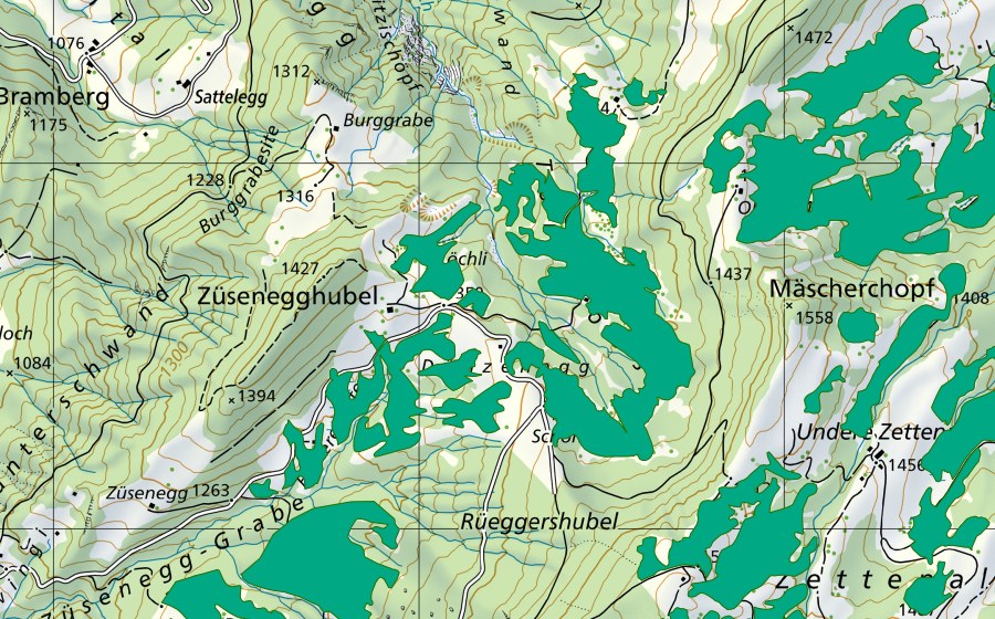 swisstopo national map showing the protected perimeter of Dünzenegg/Tönimoos (Fen)