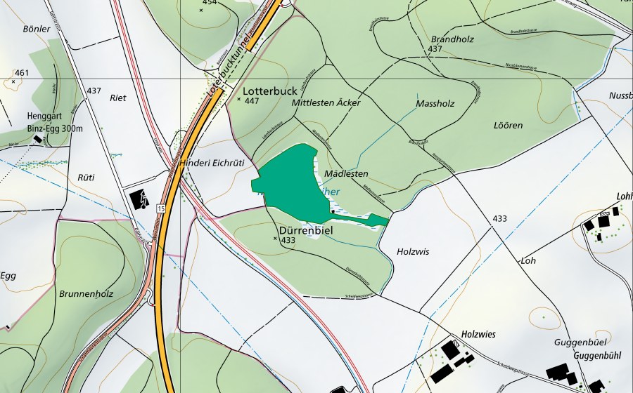 Carte nationale swisstopo avec le périmètre protégé de Dürrenbiel (Bas-marais)