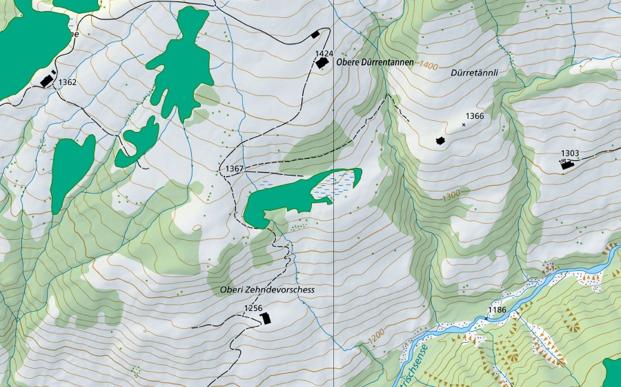 swisstopo national map showing the protected perimeter of Dürrentännli (Fen)
