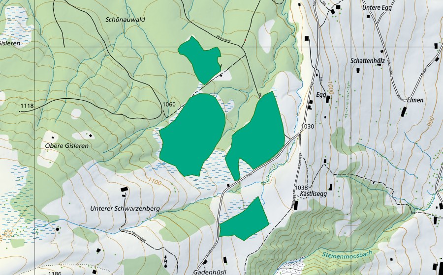Landeskarte swisstopo mit dem Schutzperimeter von Egg (Flachmoor)