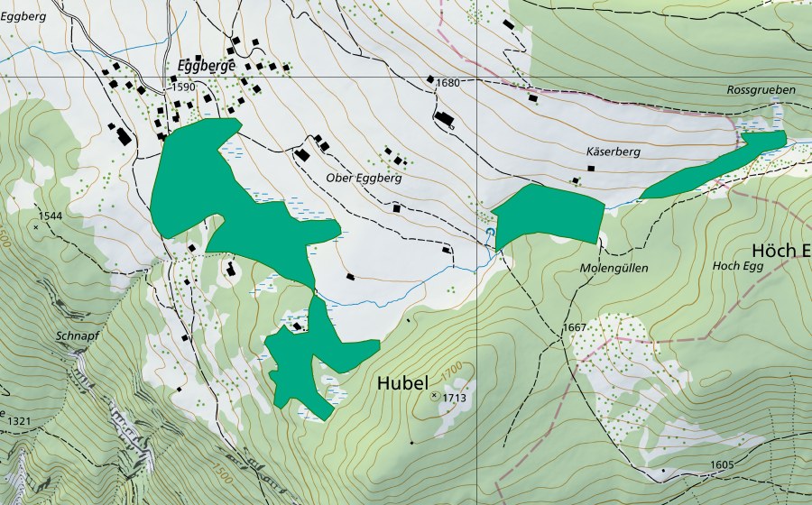 Landeskarte swisstopo mit dem Schutzperimeter von Eggberge (Flachmoor)
