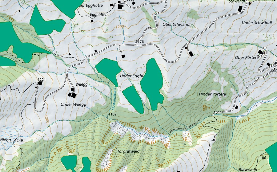 Landeskarte swisstopo mit dem Schutzperimeter von Egghütten (Flachmoor)