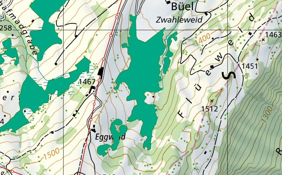 Carte nationale swisstopo avec le périmètre protégé de Eggweid (Bas-marais)
