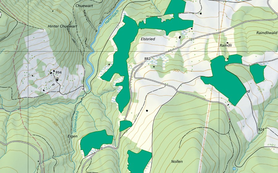 swisstopo national map showing the protected perimeter of Eigen/Elsisried (Fen)