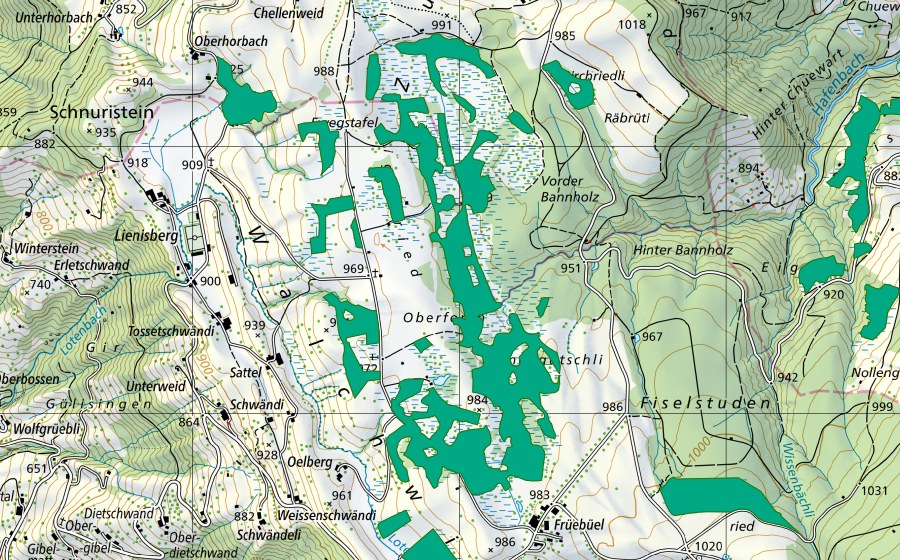 Landeskarte swisstopo mit dem Schutzperimeter von Eigenried (Flachmoor)