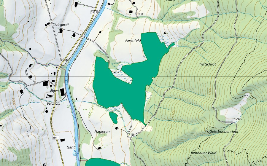 Carte nationale swisstopo avec le périmètre protégé de Eigenrieter (Bas-marais)