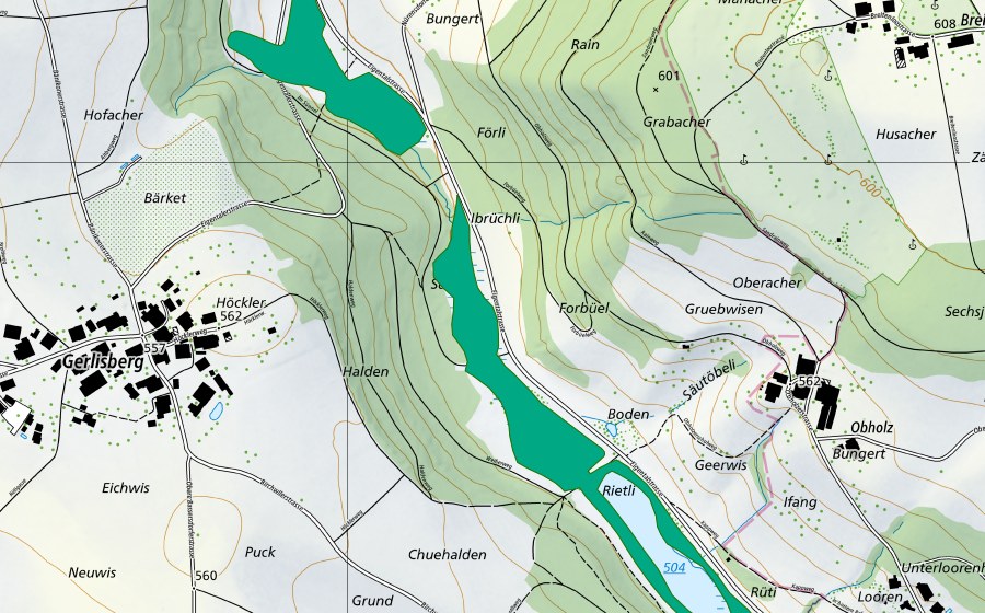 Landeskarte swisstopo mit dem Schutzperimeter von Eigental-Riede (Flachmoor)