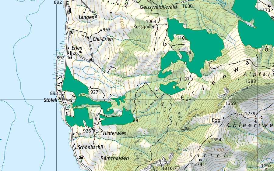 Landeskarte swisstopo mit dem Schutzperimeter von Erlen/Hinterwis (Flachmoor)