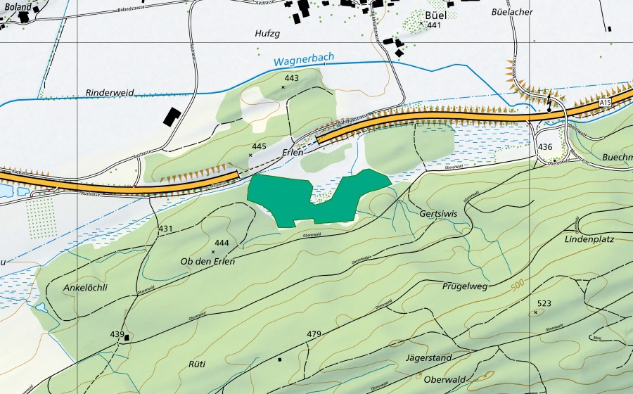 Landeskarte swisstopo mit dem Schutzperimeter von Erlen (Flachmoor)