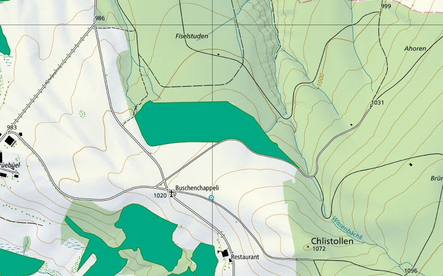 Carte nationale swisstopo avec le périmètre protégé de Erlenried (Bas-marais)