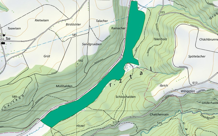 swisstopo national map showing the protected perimeter of Erztal (Fen)