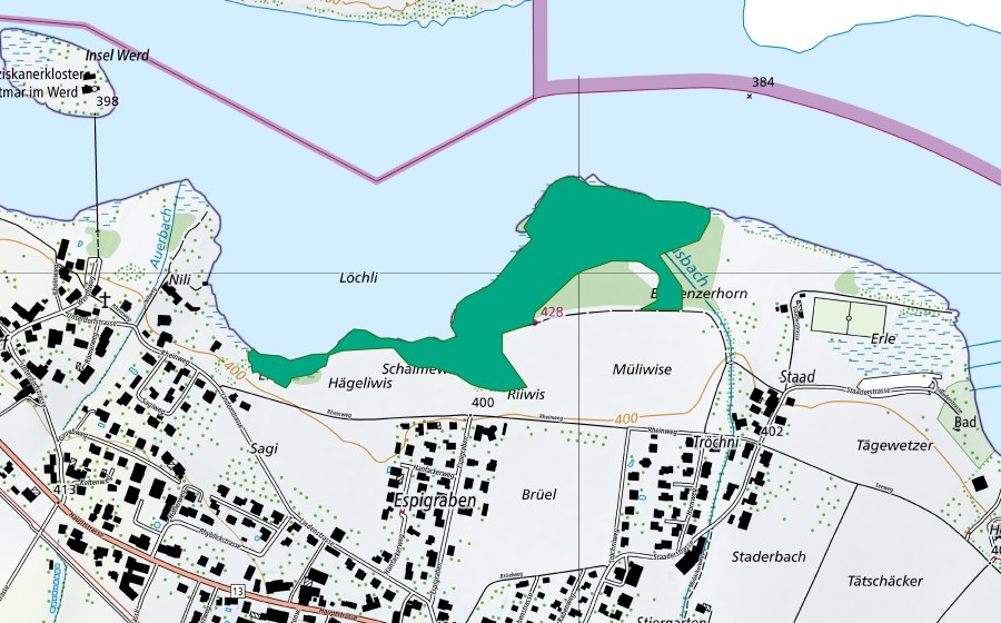 swisstopo national map showing the protected perimeter of Eschenzer Horn (Fen)