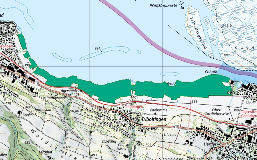 Carte nationale swisstopo avec le périmètre protégé de Espen Riet/Ermatinger Riet (Bas-marais)