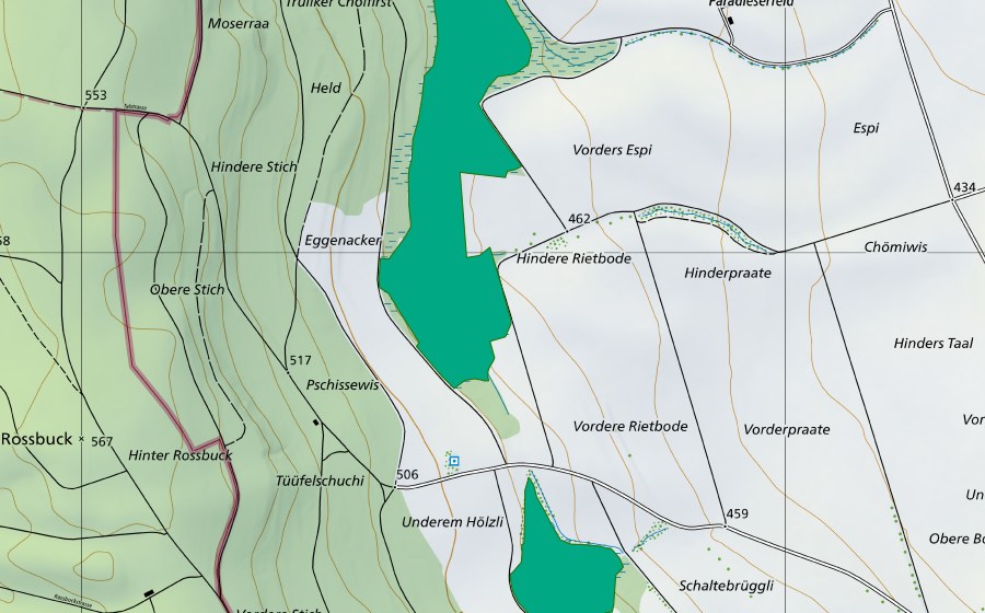 Landeskarte swisstopo mit dem Schutzperimeter von Espi/Hölzli (Flachmoor)