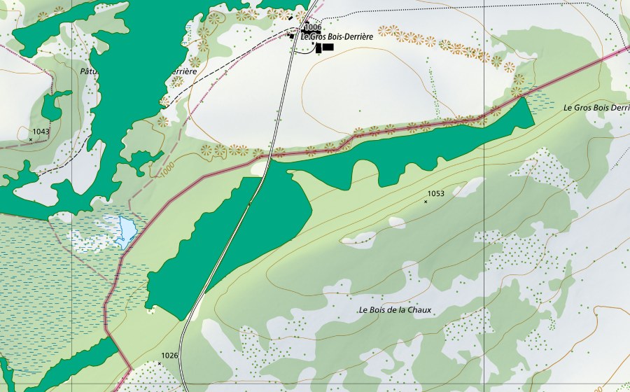swisstopo national map showing the protected perimeter of Etang de la Gruère (Fen)