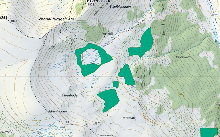 Carte nationale swisstopo avec le périmètre protégé de Etzelhüsli (Bas-marais)