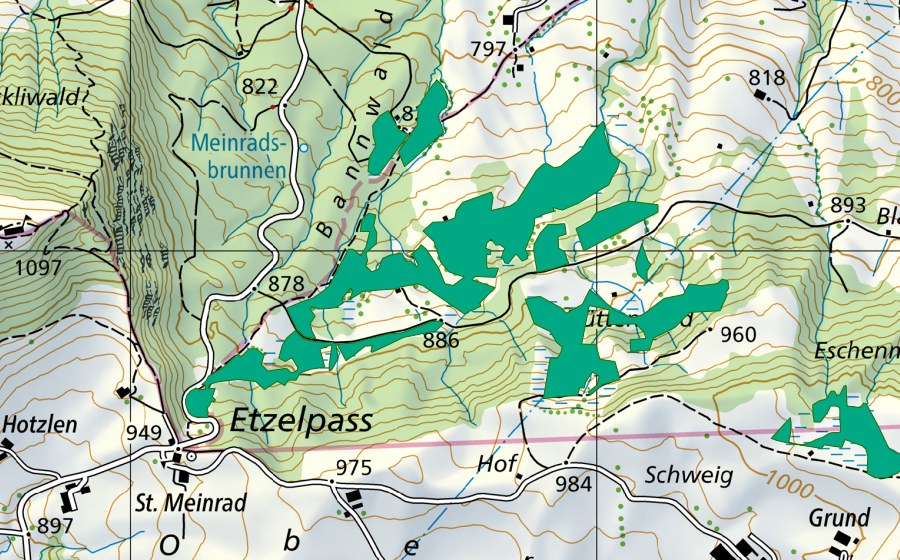 swisstopo national map showing the protected perimeter of Etzelweid (Fen)