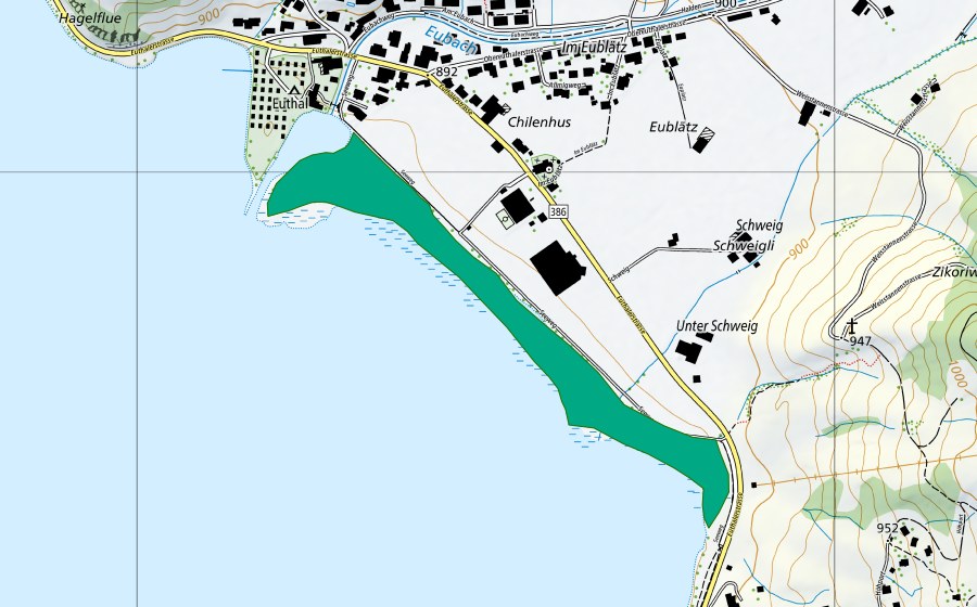 Carte nationale swisstopo avec le périmètre protégé de Euthal (Bas-marais)