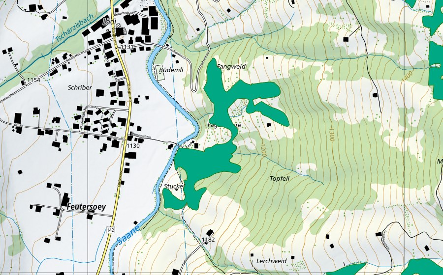 Carte nationale swisstopo avec le périmètre protégé de Fägsteinere (Bas-marais)