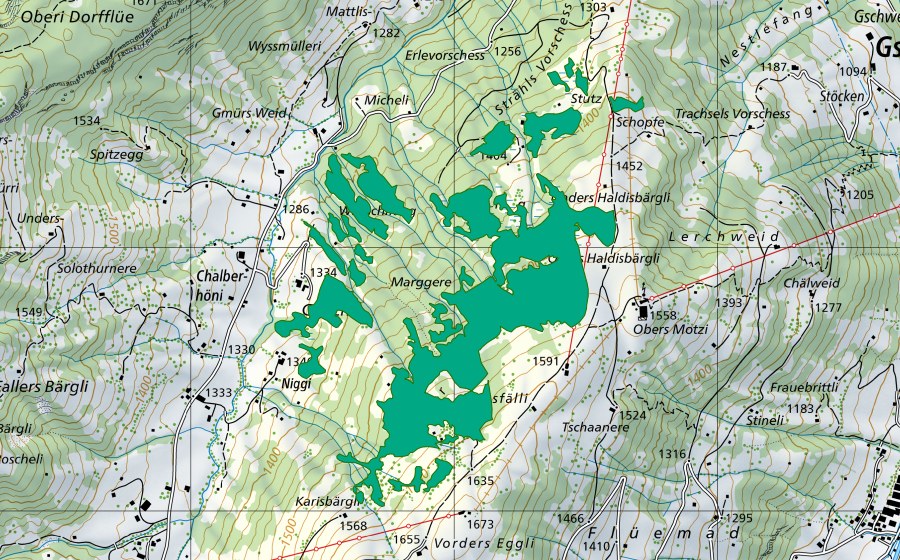 swisstopo national map showing the protected perimeter of Fäng/Hinder der Egg/Göüch (Fen)