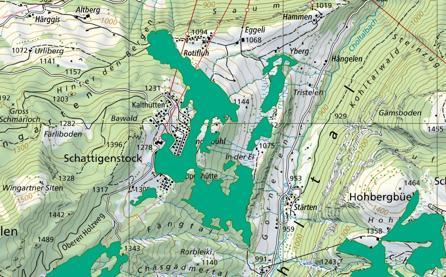 Landeskarte swisstopo mit dem Schutzperimeter von Fäng/Rinderbüel (Flachmoor)