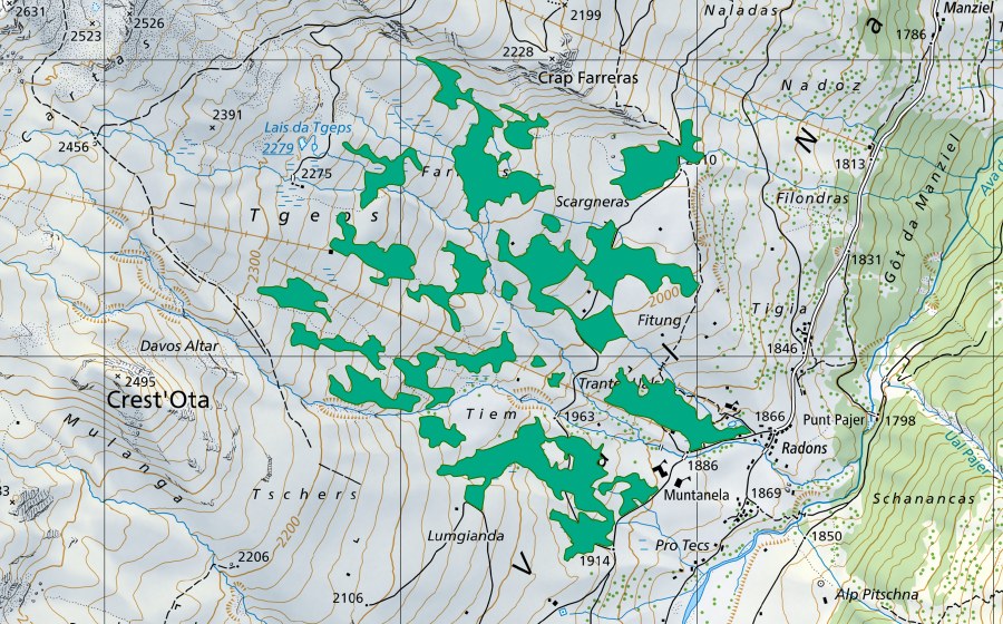 swisstopo national map showing the protected perimeter of Farreras/Scargneras (Fen)