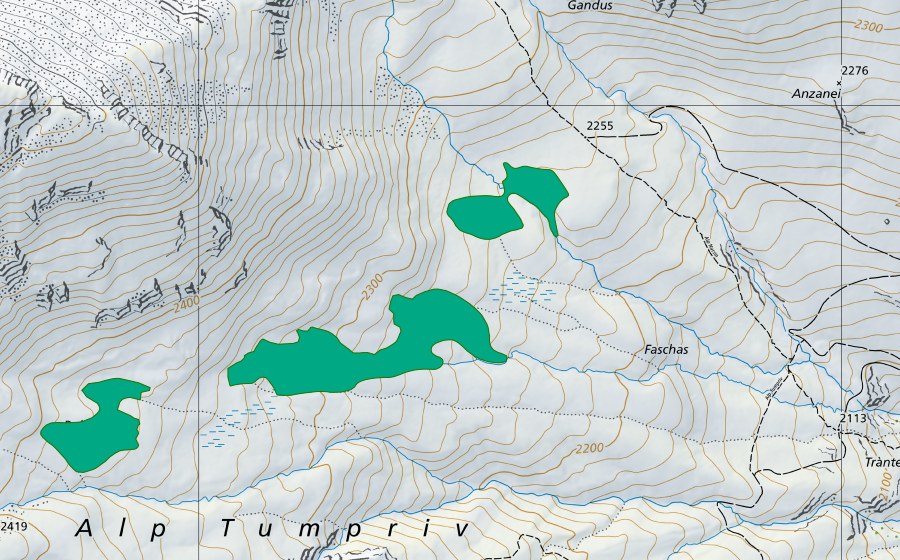 swisstopo national map showing the protected perimeter of Faschas (Fen)