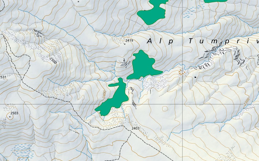 swisstopo national map showing the protected perimeter of Faschas (Fen)