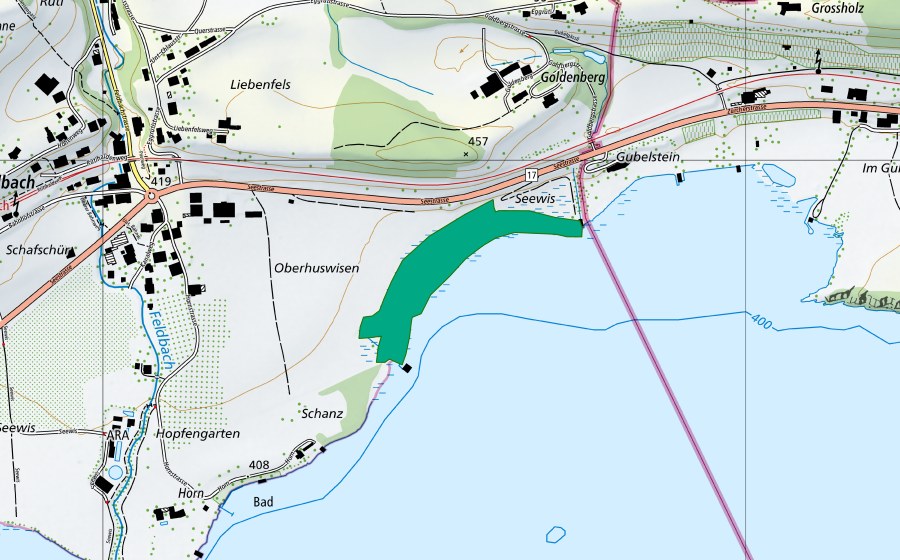 Carte nationale swisstopo avec le périmètre protégé de Feldbach (Bas-marais)
