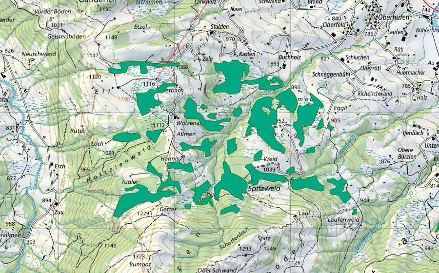 Carta nazionale swisstopo con il perimetro protetto di Feldmoos (Torbiera bassa)