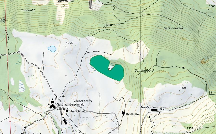 Landeskarte swisstopo mit dem Schutzperimeter von Feldmoos (Flachmoor)
