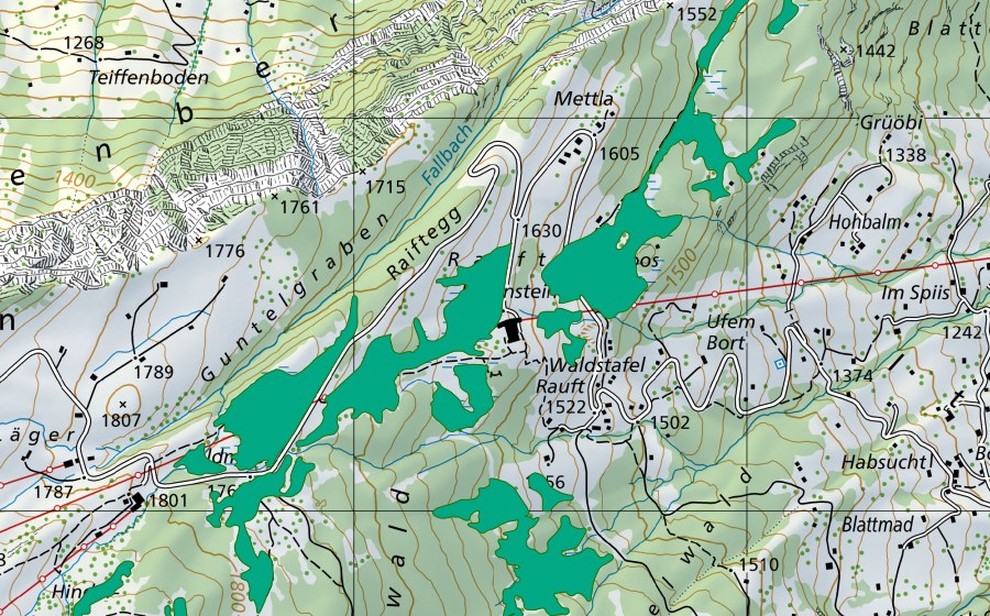 Carta nazionale swisstopo con il perimetro protetto di Feldmoos (Torbiera bassa)