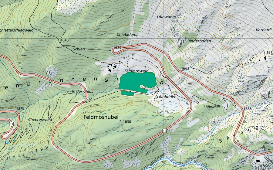 Carta nazionale swisstopo con il perimetro protetto di Feldmoos (Torbiera bassa)