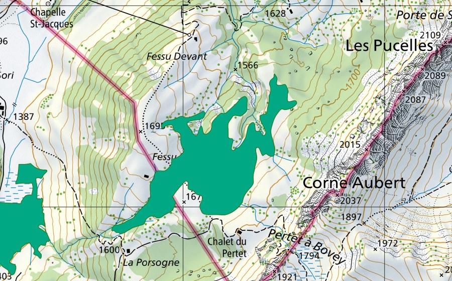 swisstopo national map showing the protected perimeter of Fessu Derrière (Fen)