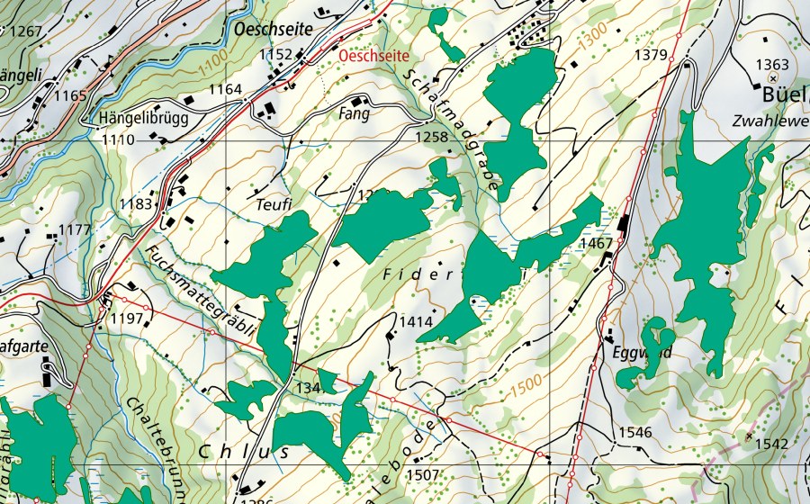 swisstopo national map showing the protected perimeter of Fidertschi (Fen)