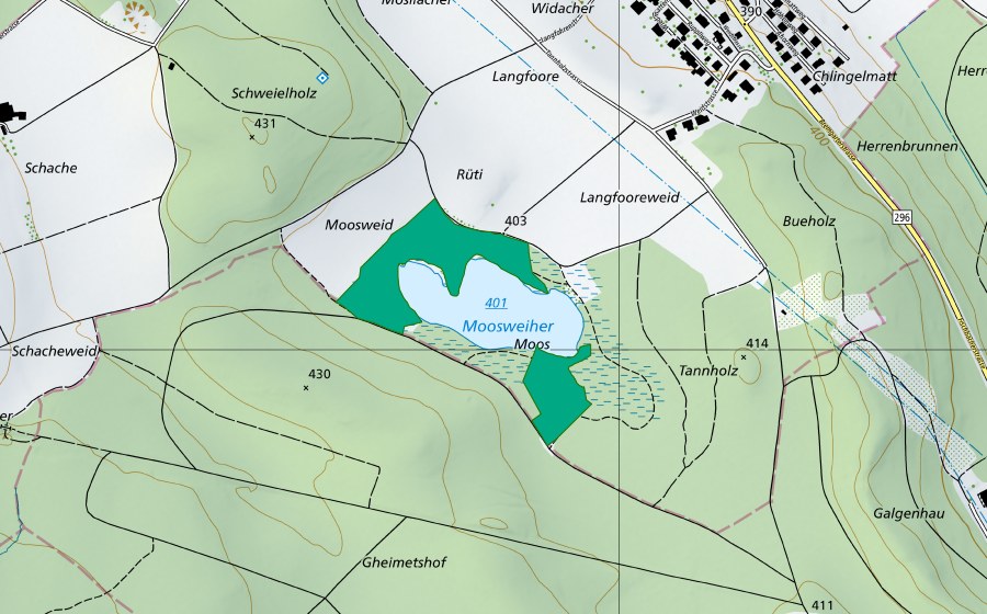 Carta nazionale swisstopo con il perimetro protetto di Fischbacher Moos (Torbiera bassa)