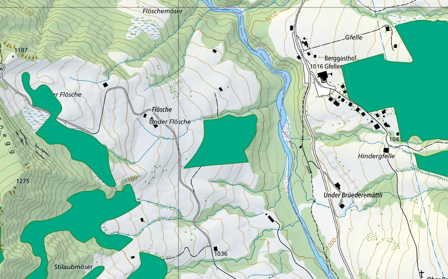 Landeskarte swisstopo mit dem Schutzperimeter von Flöschemöser (Flachmoor)