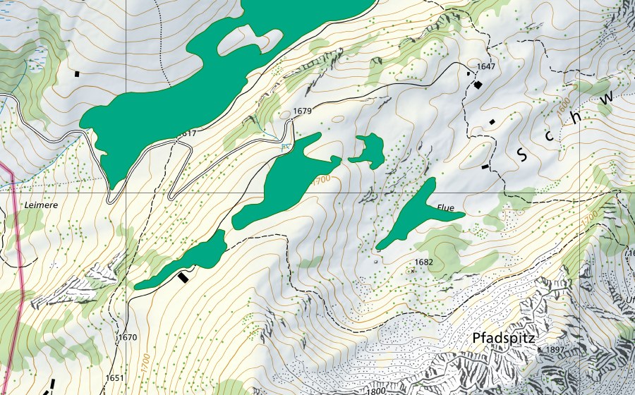 Landeskarte swisstopo mit dem Schutzperimeter von Flue (Flachmoor)