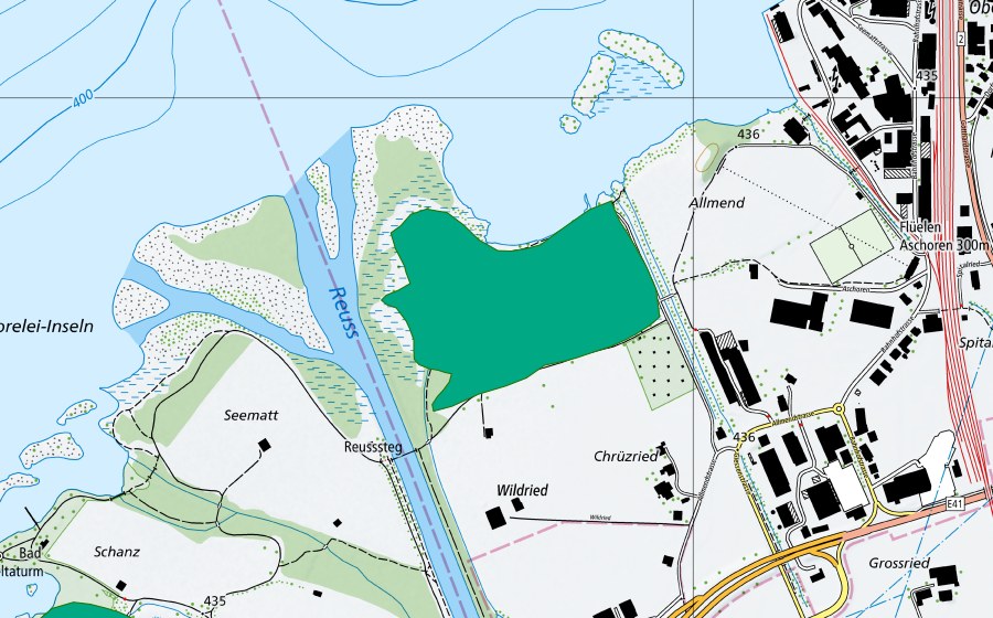 Carte nationale swisstopo avec le périmètre protégé de Flüeler Ried (Bas-marais)