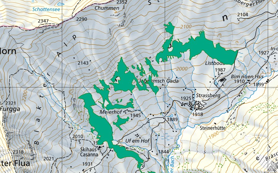 Carte nationale swisstopo avec le périmètre protégé de Fondei (Bas-marais)