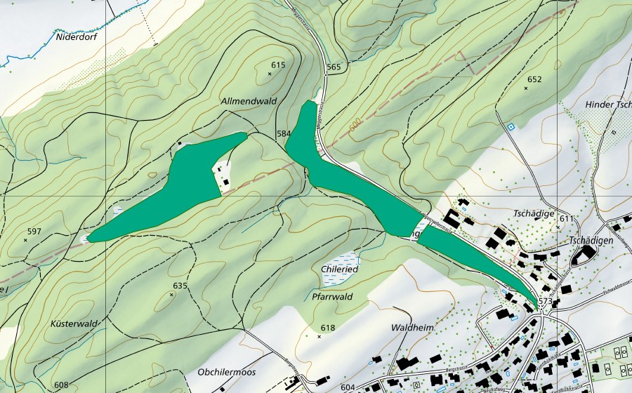Carte nationale swisstopo avec le périmètre protégé de Forenmoos/Langenried (Bas-marais)